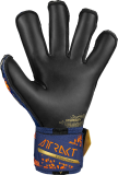 Reusch Attrakt Gold X Evolution 5470964 4411 blue orange back